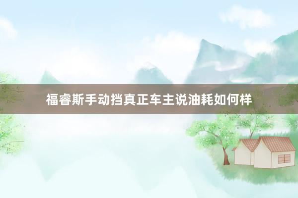 福睿斯手动挡真正车主说油耗如何样