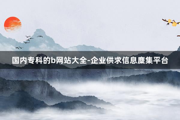 国内专科的b网站大全-企业供求信息麇集平台